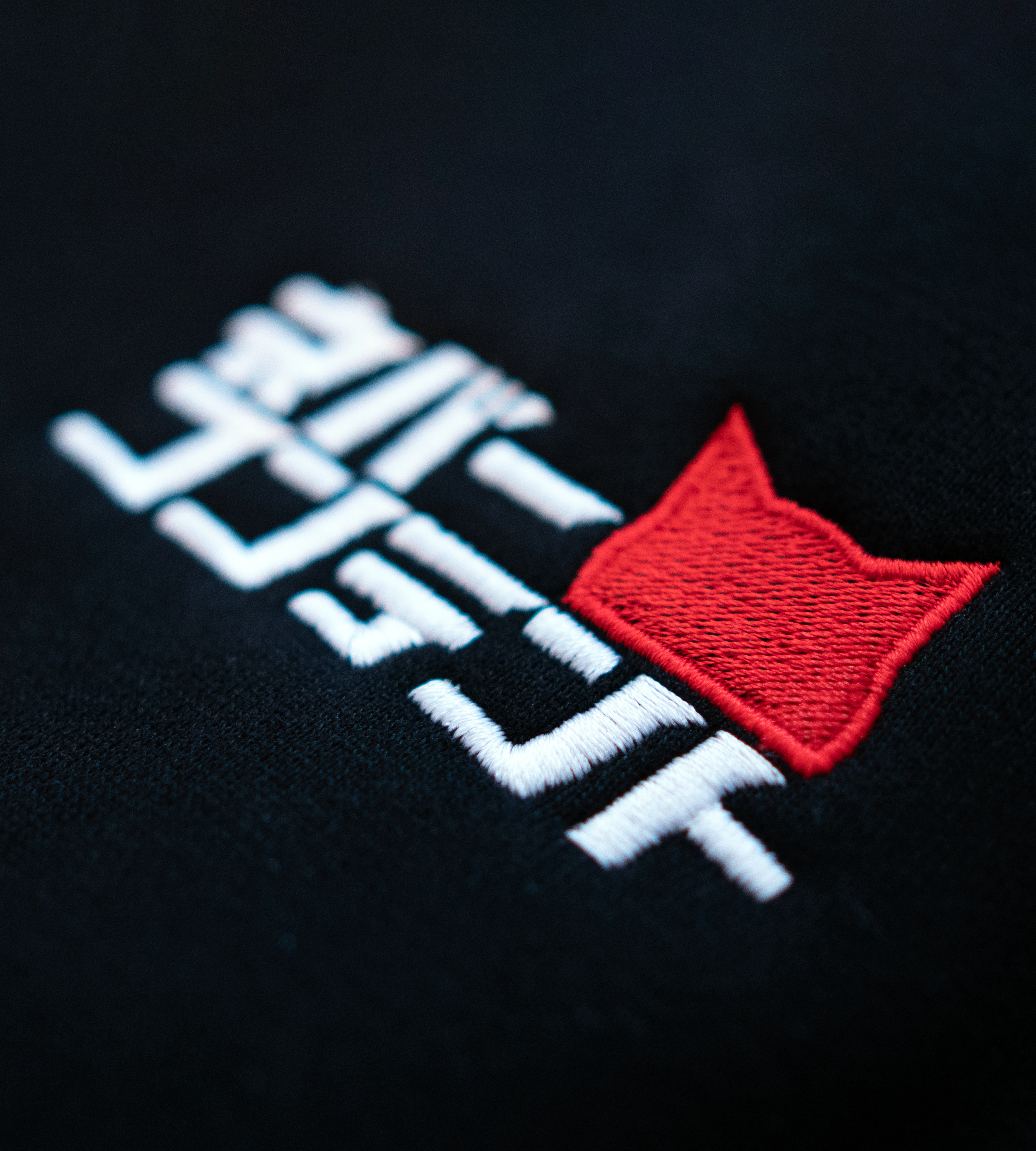 CSB (Embroidered) - Black Hooded Sweatshirt